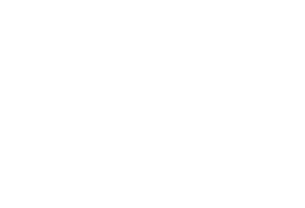 IQ_sec_white_logo