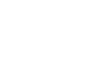 braycom_white_logo