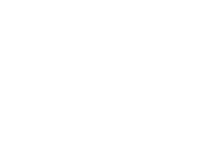 secure-soft_white_logo