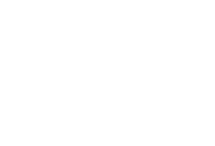 crowstrike_white_logo